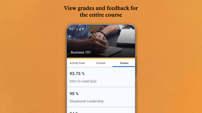 Brightspace Pulse - View Grades