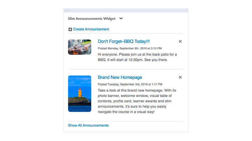 Slim Announcements Widget​