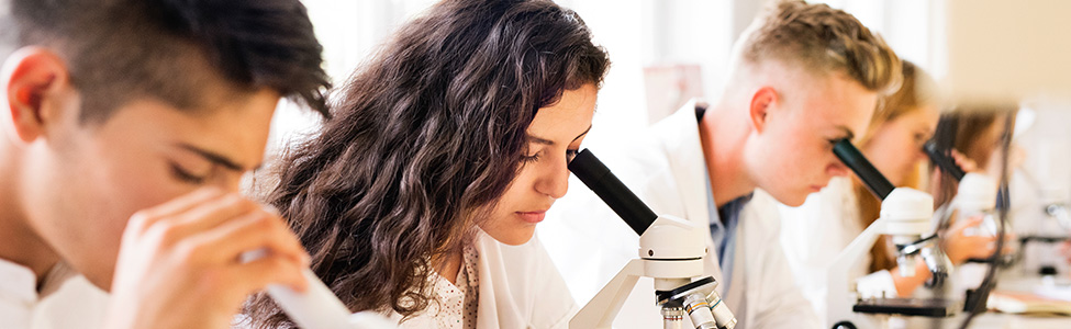 Students using microscopes