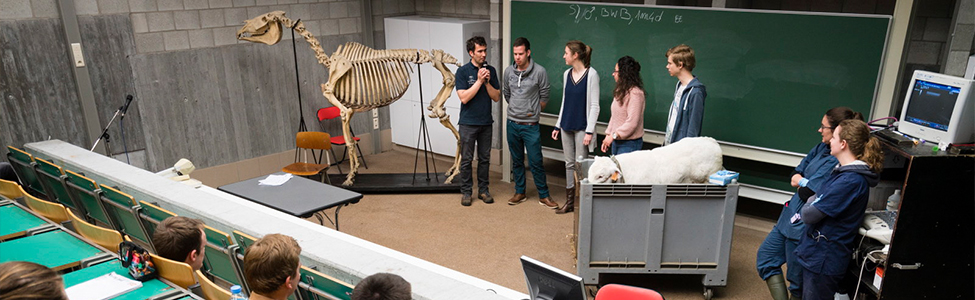 “Presentatie
