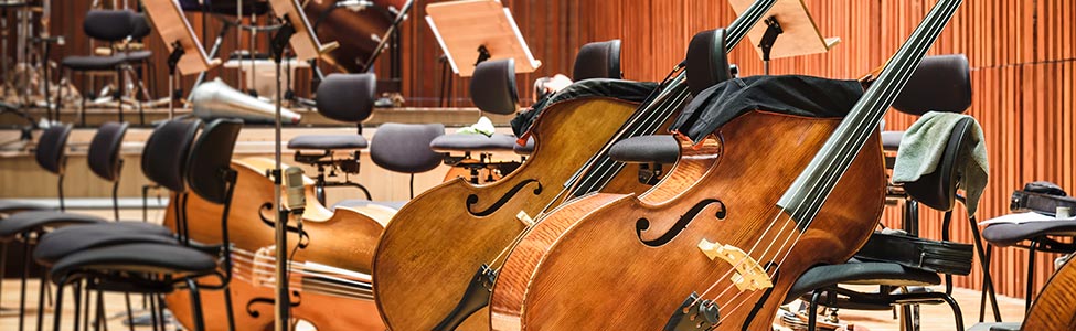 Orchestra Instruments