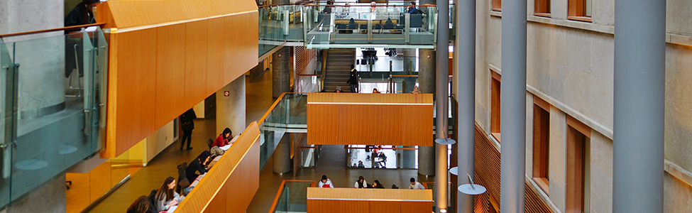 Univeristy of Ottawa students studying